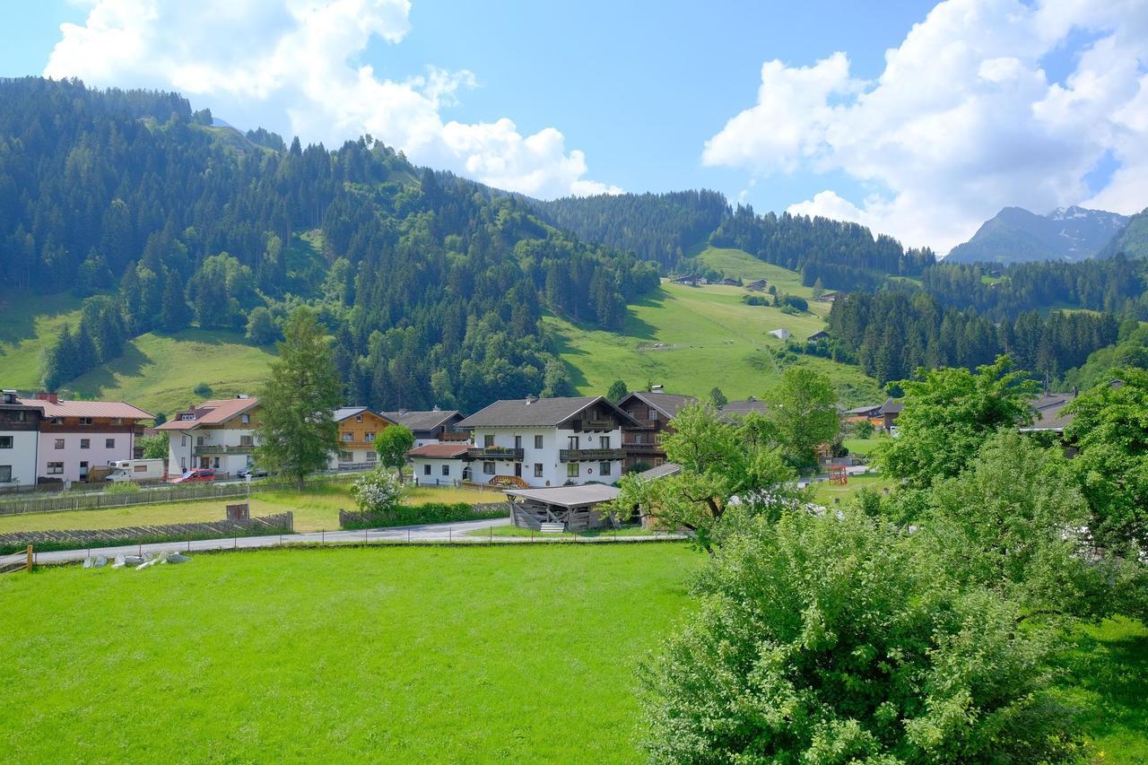 דירות הולרבאך איםפינצגאו Alpin Penthouse Hollersbach מראה חיצוני תמונה